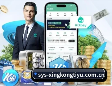 星空体育官网 APP 深度功能 | Xingkong